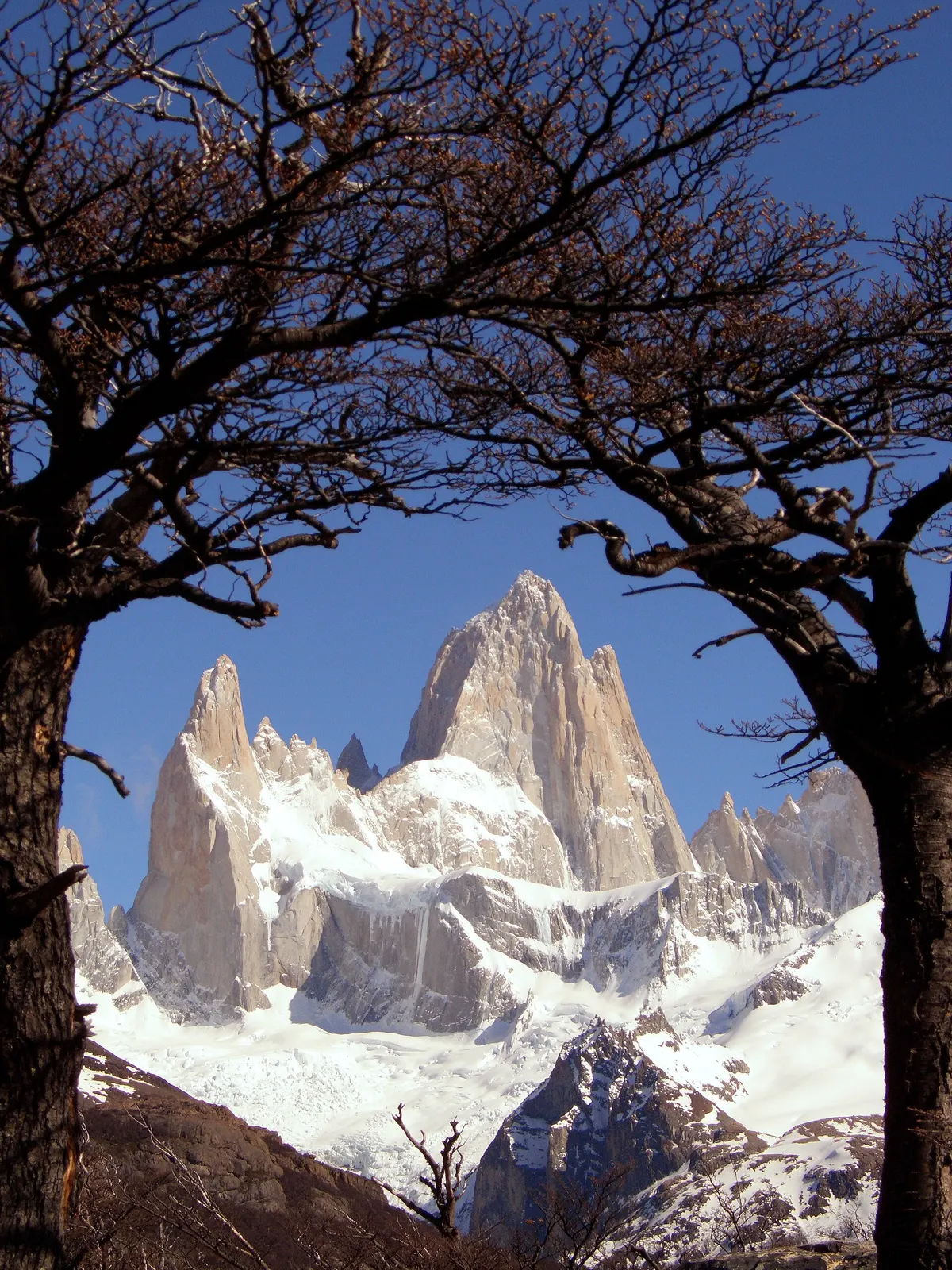 Full day a El Chaltén