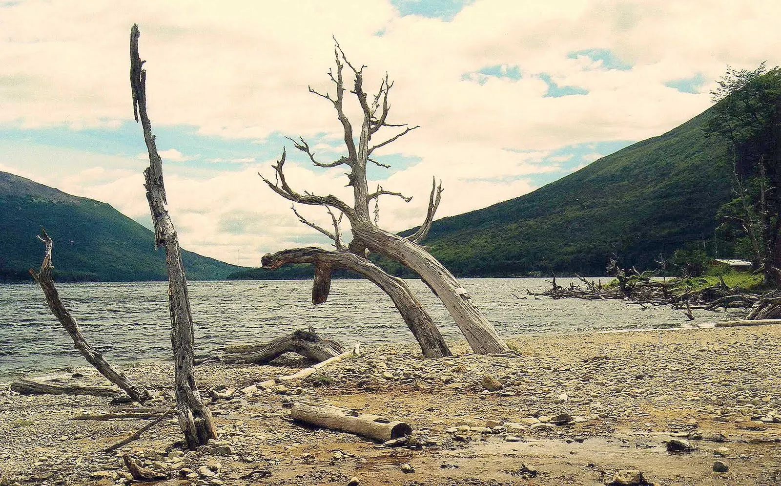 Lago Fagnano, Tierra del Fuego, Argentina - panoramio