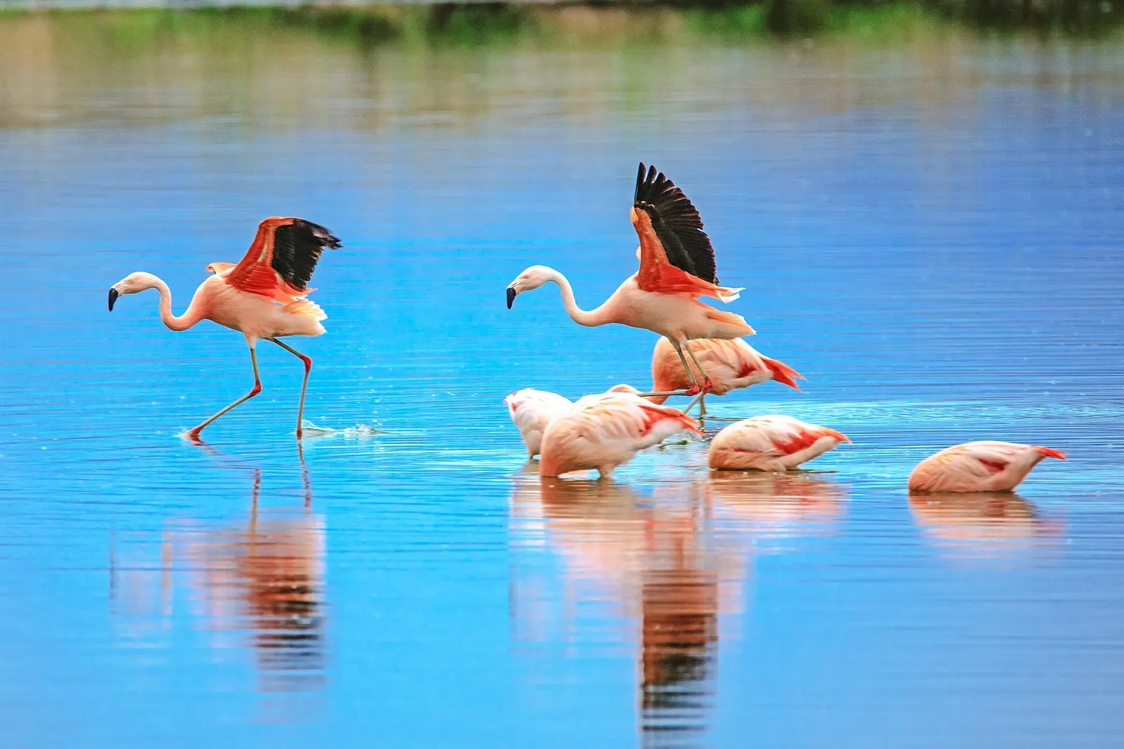 Reserva Laguna Nimez